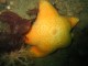 Thumbs/tn_SanJuan 055.jpg